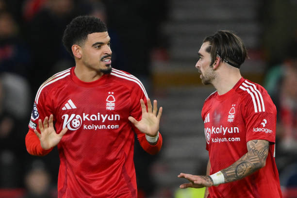 得到培养 得到培养